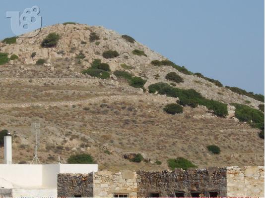 PoulaTo: αγροτεμαχιο