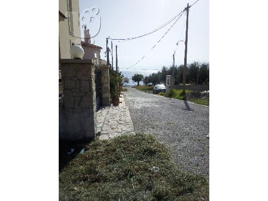 οικοπεδο