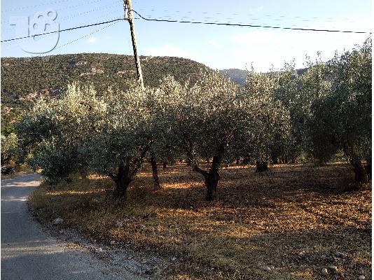 ΠΩΛΕΙΤΑΙ ΑΓΡΟΤΕΜΑΧΙΟ