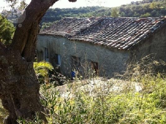 ΟΙΚΟΠΕΔΟ 13000ΤΜ