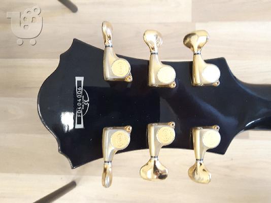 Ibanez PM 100