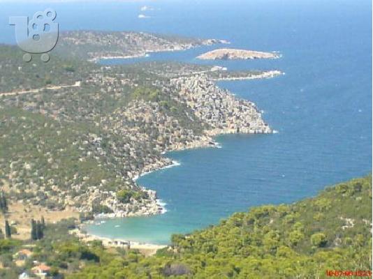 Πώληση οικοπέδων σε τιμή ευκαιρίας στην Νέα Επίδαυρο...