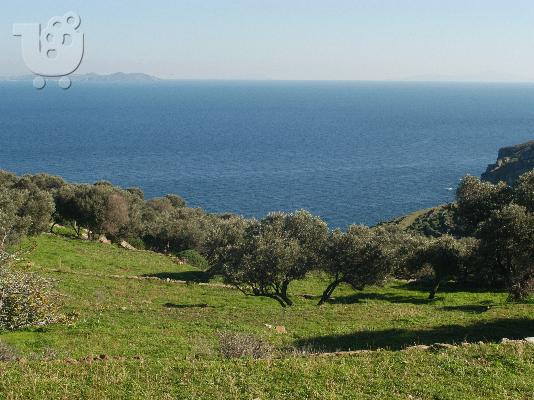PoulaTo: Οικόπεδο στη Σίφνο