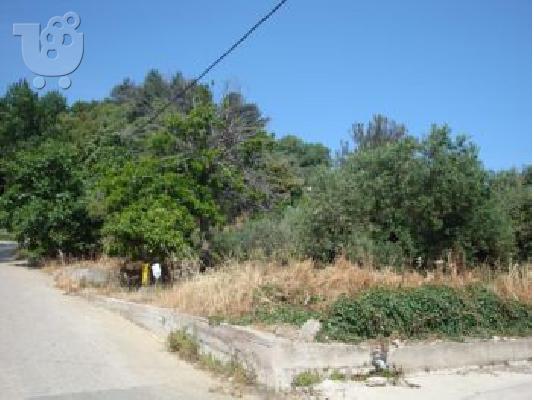 ΟΙΚΟΠΕΔΟ ΣΤΟΝ ΑΓ.ΚΩΝΣΤΑΝΤΙΝΟ ΜΕ ΘΕΑ!!!