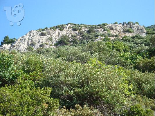 ΟΙΚΟΠΕΔΟ ΣΤΟΝ ΜΑΡΑΘΟΚΑΜΠΟ ΣΑΜΟΥ
