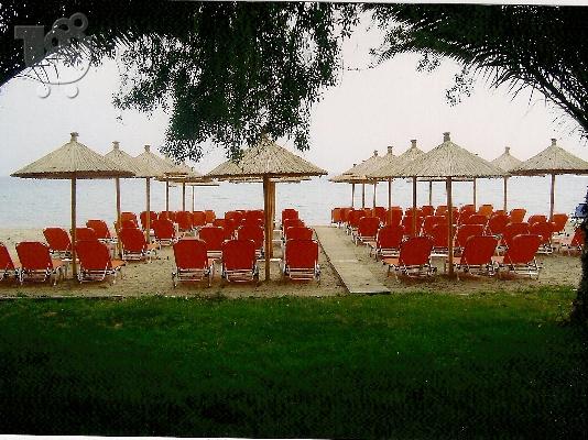 ΕΥΚΑΙΡΙΑ!!! ΠΩΛΕΙΤΑΙ ΦΑΓΑΔΙΚΟ ΚΑΙ BEACH-BAR ΣΤΗ ΧΑΛΚΙΔΙΚΗ...