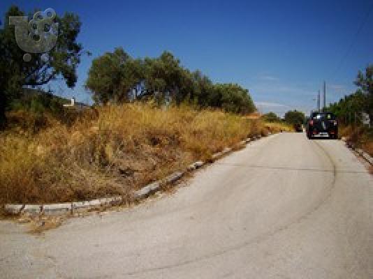 Γωνιακό οικόπεδο σε όμορφη περιοχή κοντά στην Αθήνα...