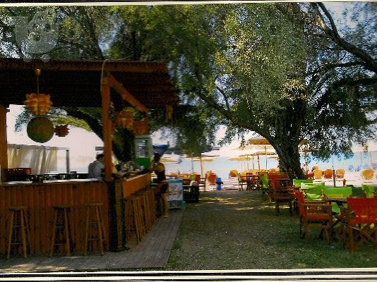 PoulaTo: ΕΥΚΑΙΡΙΑ!!! ΠΩΛΕΙΤΑΙ ΦΑΓΑΔΙΚΟ ΚΑΙ BEACH-BAR ΣΤΗ ΧΑΛΚΙΔΙΚΗ