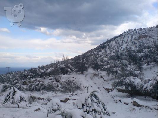 ΟΙΚΟΠΕΔΟ - ΜΕΣΑΙΑ ΤΡΙΚΑΛΑ ΚΟΡΙΝΘΙΑΣ