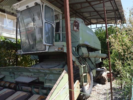 ΘΕΡΙΖΟΑΛΛΩΝΙΣΤΙΚΗ ARBOS
