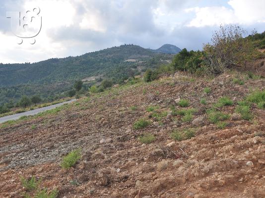 3 Αγροτεμάχια στη Σέτα Ευβοίας