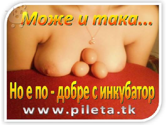 PoulaTo: Εκκολαπτικές μηχανές