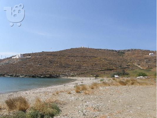 PoulaTo: ΚΥΘΝΟΣ - 5 ΣΤΡΕΜ ΠΑΝΩ ΣΤΗ ΘΑΛΑΣΣΑ