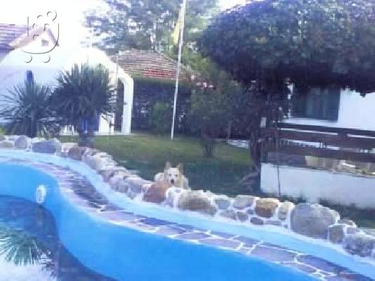 ΠΩΛΕΙΤΑΙ ΟΙΚΟΠΕΔΟ ΜΕ ΜΟΝΟΚΑΤΟΙΚΙΑ