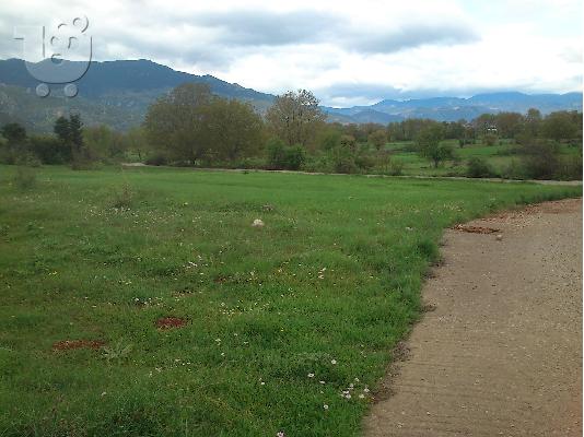 PoulaTo: Χώραφι 650μ