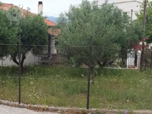 PoulaTo: Πωλείται Γωνιακό Oικόπεδο