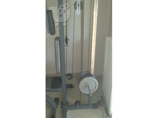 pegasus smith machine