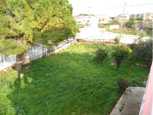 οικοπεδο  στο αγιο βασιλειο αχαιας ΠΑΡΑΘΑΛΑΣΣΙΟ.... πανω στο κυμα .....