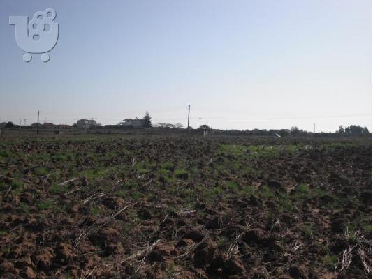 Πώληση αγροτεμαχίου Επανομή
