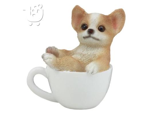 Chihuahua κουτάβια αρσενικά και θηλυκά κουτάβια