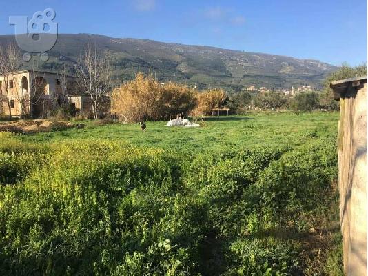 Πωλείται οικόπεδο 2 στρέμματα στη περιοχή του Παντοκράτωρα....