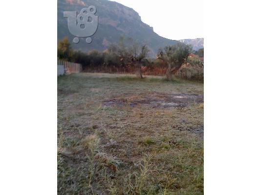 Οικόπεδο 750 τ.μ. στον Ελαιώνα Αιγίου