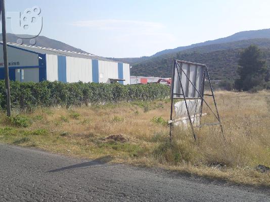 ΠΩΛΕΙΤΑΙ ΟΙΚΟΠΕΔΟ 2200ΤΕΤΡ ΣΤΗ ΔΡΟΣΙΑ ΧΑΛΚΙΔΑΣ ΤΗΛ 6977635500...