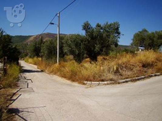Γωνιακό οικόπεδο σε όμορφη περιοχή κοντά στην Αθήνα...