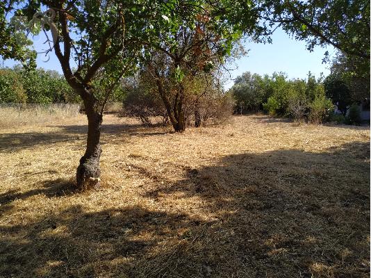 PoulaTo: Οικόπεδο 530τμ στην Νέα Κηφισια Ευκαιρία