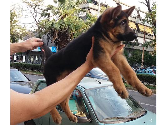 Καθιστικά Βουλιαγμένη Καθιστικά Κήπου Βουλιαγμένη Καθιστικά Εξωτερικού χώρου Βουλιαγμένη Κ...