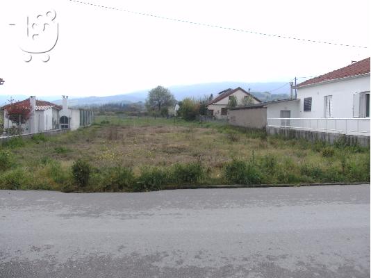 ΙΣΤΙΑΙΑ ΟΙΚΟΠΕΔΟ 