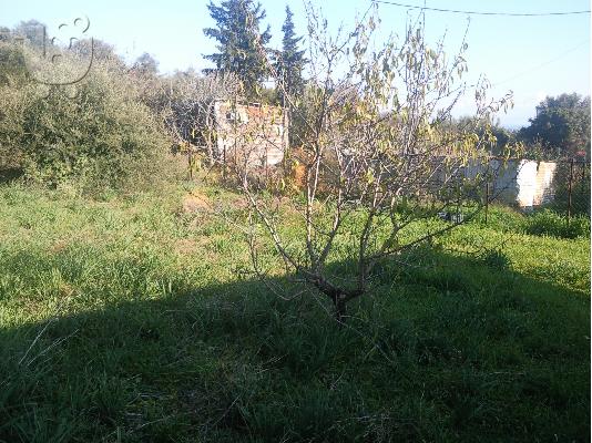 PoulaTo: ΠΩΛΕΙΤΑΙ ΑΓΡΟΤΕΜΑΧΙΟ