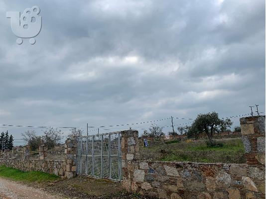 ΟΙΚΟΠΕΔΟ ΣΤΗ ΕΡΕΤΡΙΑ