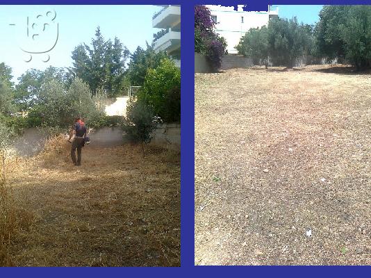 Αποψιλωσεις Καθαρισμός Οικοπέδων Εξοχικών 6932754198