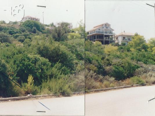 PoulaTo: ΟΙΚΟΠΕΔΟ 1033 m2 στον ΘΕΟΛΟΓΟ ΜΑΛΕΣΙΝΑΣ ΟΙΚΙΣΜΟ Ο.Σ.Μ.Α.Ε.Σ.