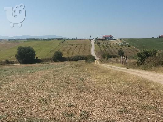 PoulaTo: Πώληση οικοπέδου στον Κάτω Άγιο Ιωάννη του νομού Πιερίας