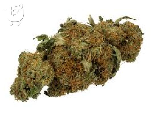 GRADE A + MEDICAL MARIJUANA (kyselá nafta, měsíční kámen, HDP, modrý sen, OG kush) * CANNA...