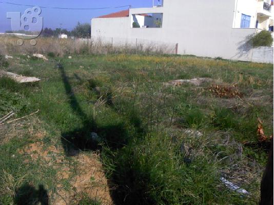 PoulaTo: οικοπεδο νεα πολη κουρτη Ναύπλιο