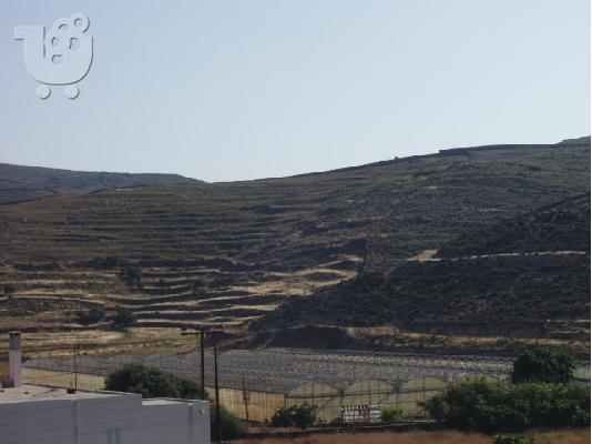 55 στρέμματα στα Λουτρα της Κύθνου