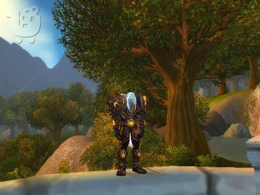 THUNDERFURY WARRIOR lvl 85 + DK 390+ilvl 120euro
