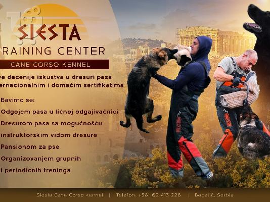 PoulaTo: Κέντρο εκπαίδευσης σκύλων