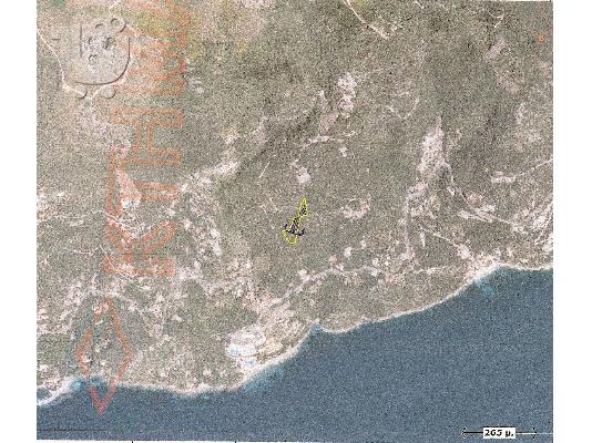 PoulaTo: ΟΙΚΟΠΕΔΟ, ΓΑΡΝΕΛΑΤΙΚΑ