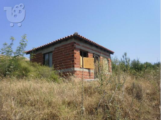 Πόιντερ – 300 euro