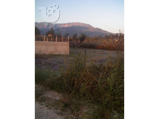 PoulaTo: Οικόπεδο 750 τ.μ. στον Ελαιώνα Αιγίου