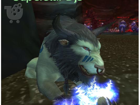 PoulaTo: WoW Account,  Druid, Warlock, Paladin (Lvl 80) + 17000g