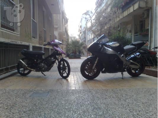 PoulaTo: HONDA CBR 900 RR Fireblade '00