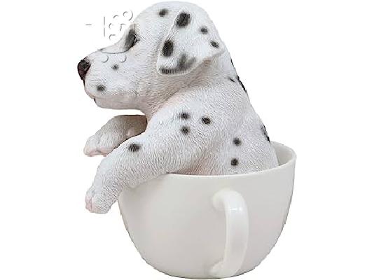 PoulaTo: Kc Dalmatian Puppies (βορειοδυτικά)