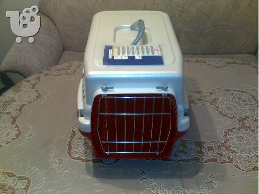 Τζακ Ράσελ Τεριέ - 380 euro