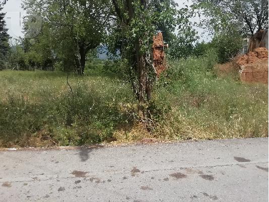 Πωλείται οικόπεδο 0,5 στρέμματα