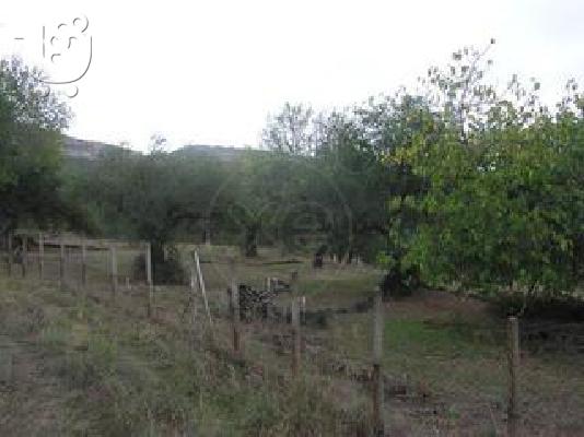 PoulaTo: οικοπεδο